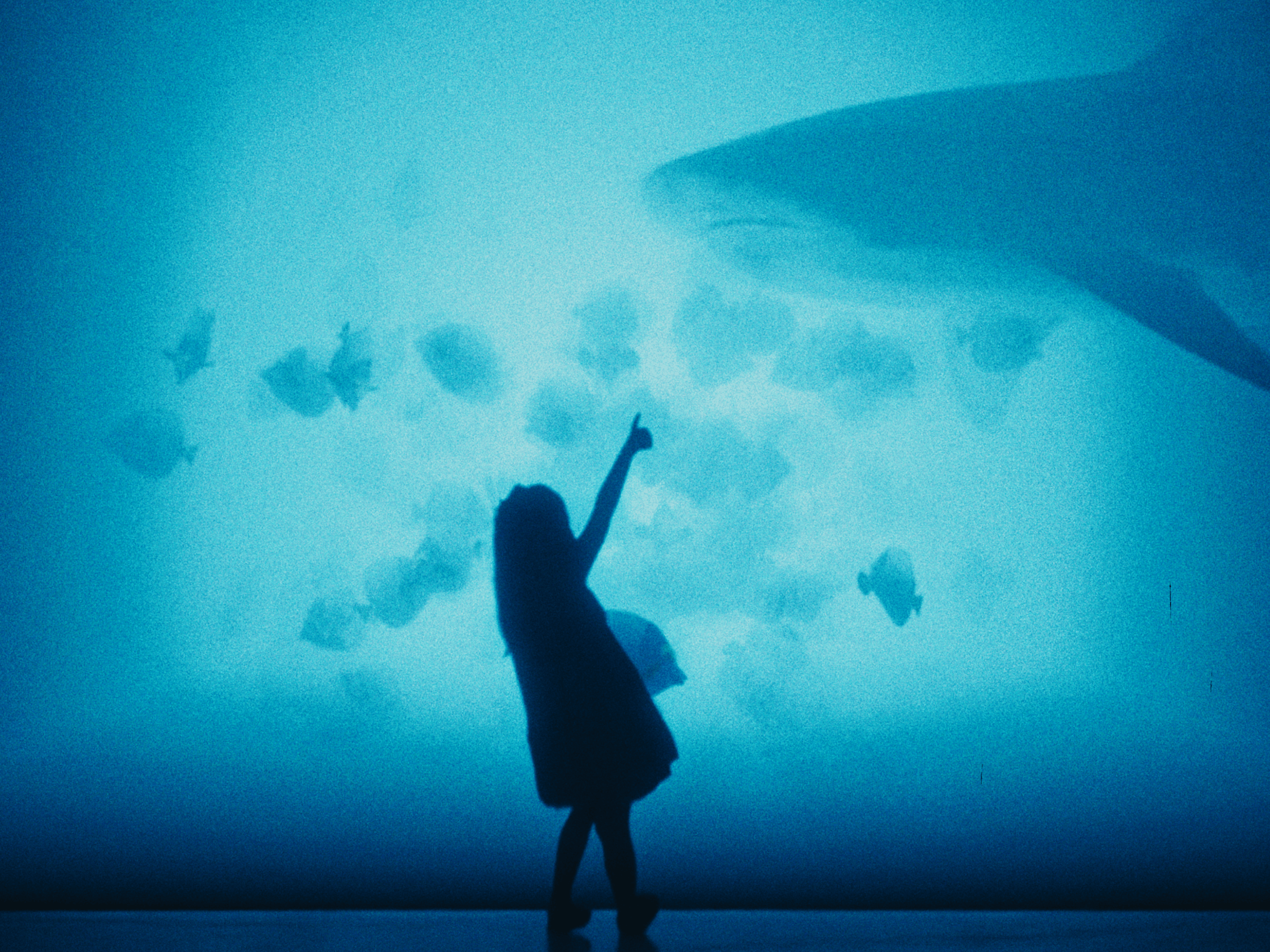 The silhouette of a little girl pointing at a shark in an aquarium.